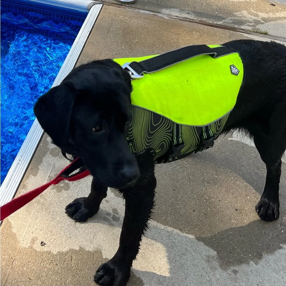 Arcadia Trail Flotation Coat for Dogs - Size Medium Slightly used
